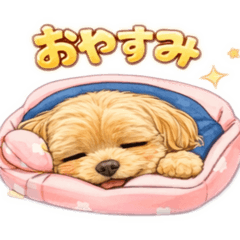 michi_20260125073207