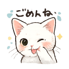 otonaclub_20260125090325