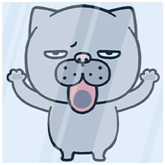 Silent Cat Pop - No Words, Just Vibes