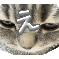 Kozue_20260125122749