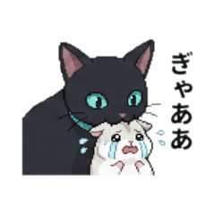 クールな黒猫とちんまりハムスター