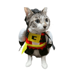 Bambi_20260125145840