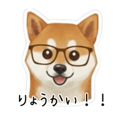 my_20260125154031