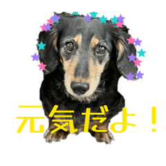 love410_20260125165050