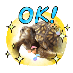 ASUKA_20260125172519