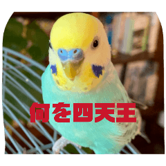 ramune_20260125205322