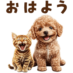 Toy Poodle & Cat Everyday Stickers