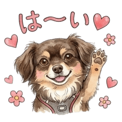Choco-Tan Chiwawax Cute Useful Stickers