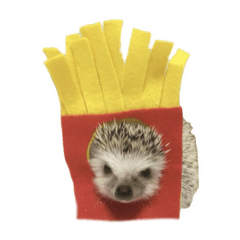 HariHari_20260125141059