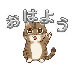 SUZU_20260125184821