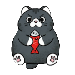 SUZU_20260125190039