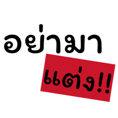 Achi_ca_20260125172433