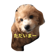 he is name Ron