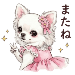 White Chihuahua  Everyday Stickers