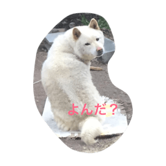 KOTAROU_20260125234500