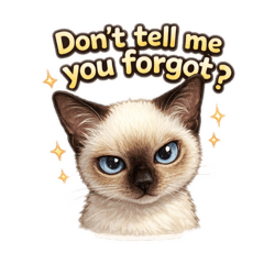 Are you catting Me V1