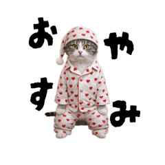 ririka_20260124225238