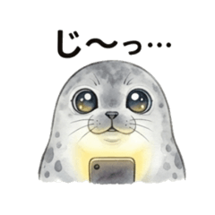 Animals Reporting "I'm Home!"