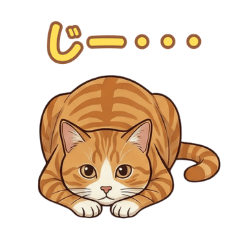 ORION_20260126000225