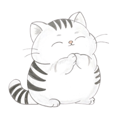 Paopao_20260126104203