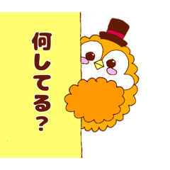 Kamippi Artist_20260122161855