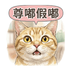 小虎斑日常：就愛諧音梗