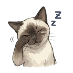 Siamese Cat: Daily & Emotion Stickers