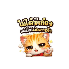 cat love_20260126113850