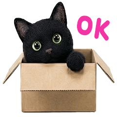 ねこのぬいぐるみ「クロオ」