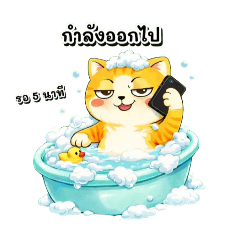 Gankona neko