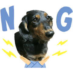 love410_20260124221116