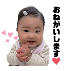 momo_20260124212449