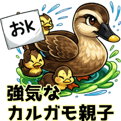 Sassy Spot-Billed Ducks: Internet Memes