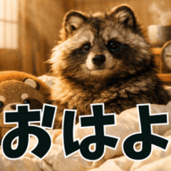 Ezo raccoon dog Mood