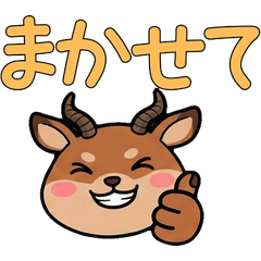 Move Round Impala 22nd