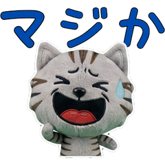 Moving Polite Silver Tabby Cat 12th