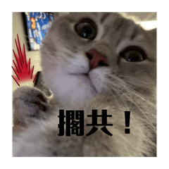 菸の表情包 Part 1 ｜情緒很多，理智很少.