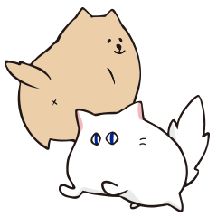 A chonky doggo and a tsundere catto2