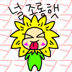 I'm your sunsunflower