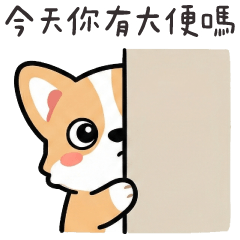 (M)Corgi7-Daily Care