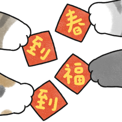 cat's hand5 - silver tabby cat