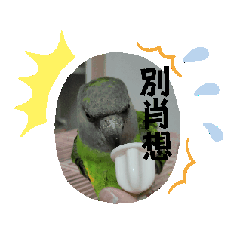 我家草阿粿＆多多