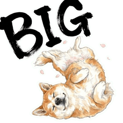 Every day with a BIG Akita!