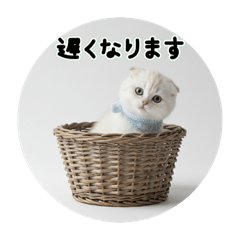 Mary rose25_20260126110339