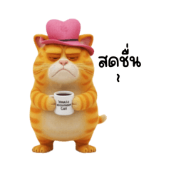 แมวง่วง วันนี้ขี้เกียจ