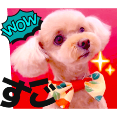 Mochioba_20260126200919