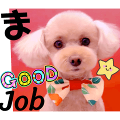 Mochioba_20260126232126