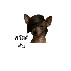 Swordrl_20260126200409