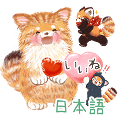 レッサーパンダ ポへ!日常 ねこの着ぐるみ