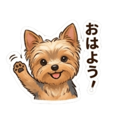 Suzu_20260126161235